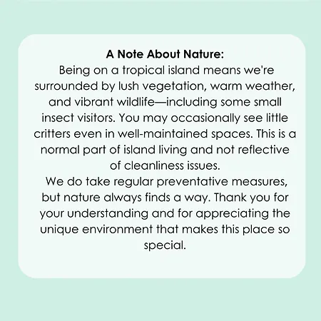 Mar Sereno Formosa Funchal (Madeira)