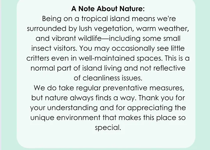 Mar Sereno Formosa Funchal (Madeira)